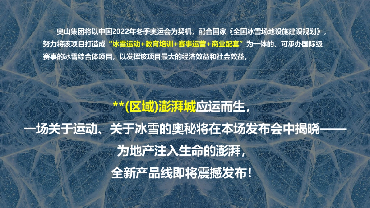 2018澎湃城全新产品线发布会活动策划案_第4页