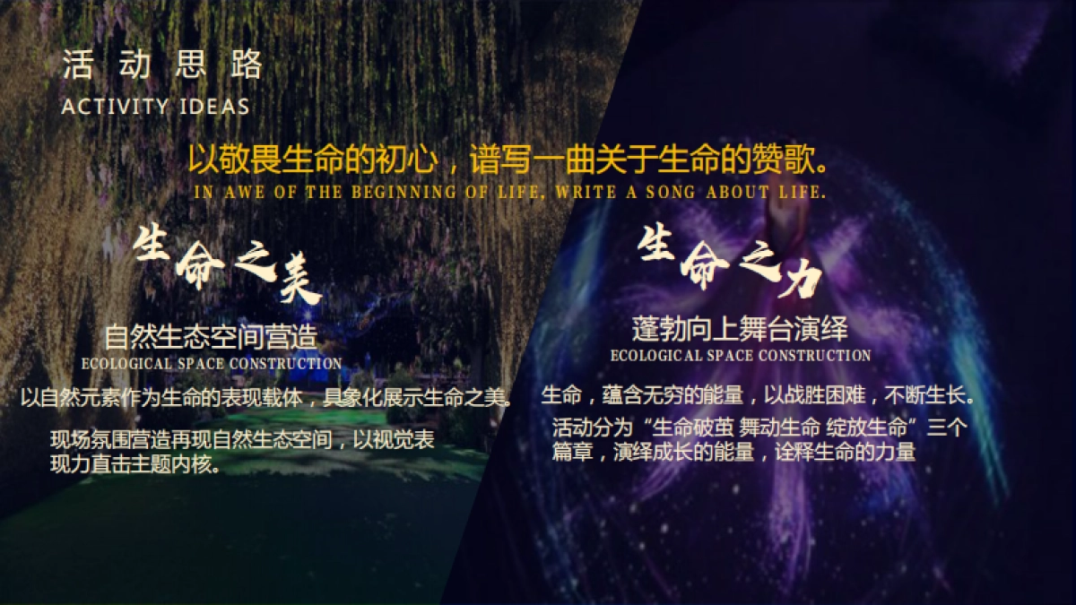 2018七里坪发布会（英孚美信）_第7页