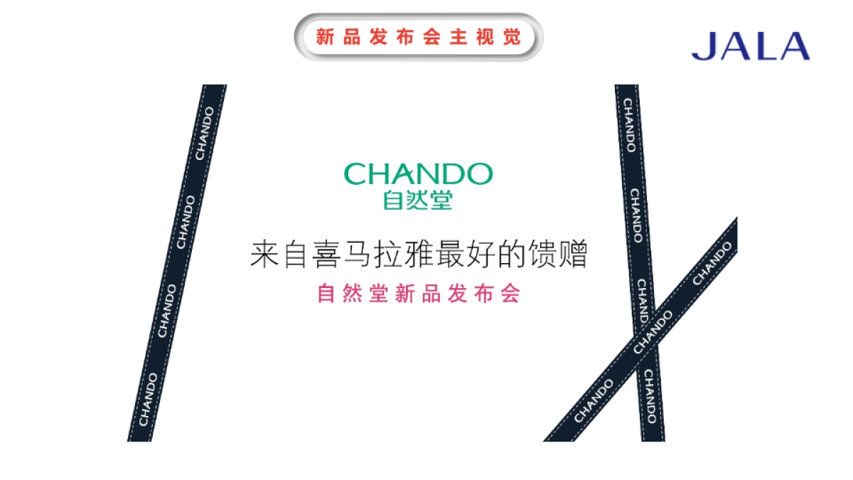 2018自然堂新品发布会活动策划方案_第5页