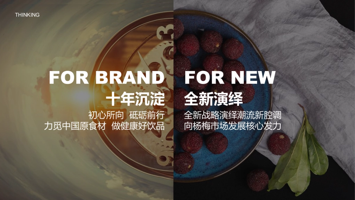 2022日远转型发展战略发布会暨十周年庆典&全年活动规划方案_第5页