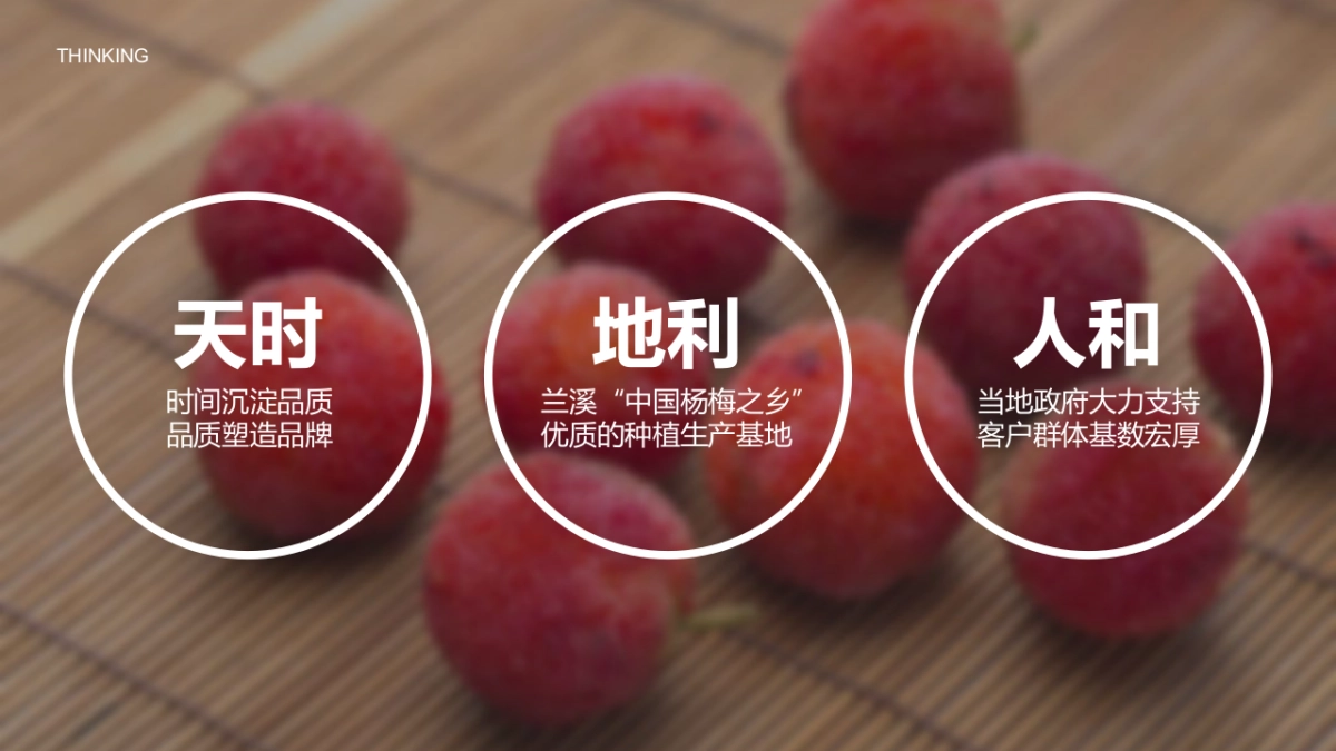 2022日远转型发展战略发布会暨十周年庆典&全年活动规划方案_第6页