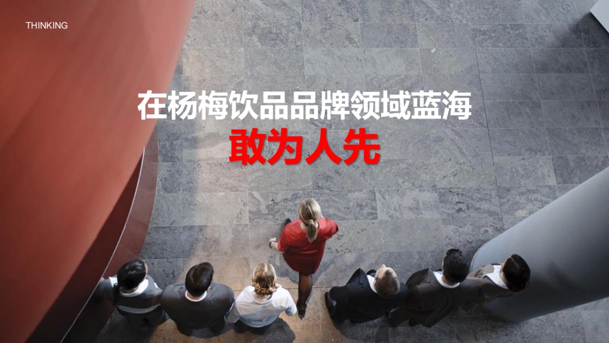 2022日远转型发展战略发布会暨十周年庆典&全年活动规划方案_第8页