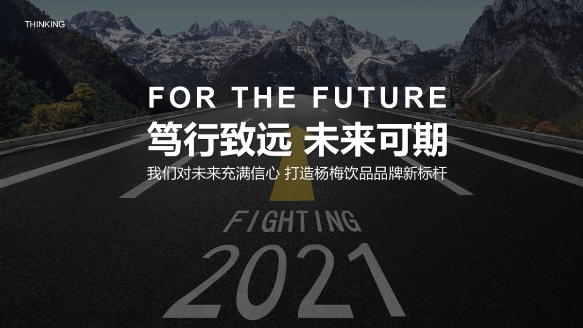 2022日远转型发展战略发布会暨十周年庆典&全年活动规划方案_第9页