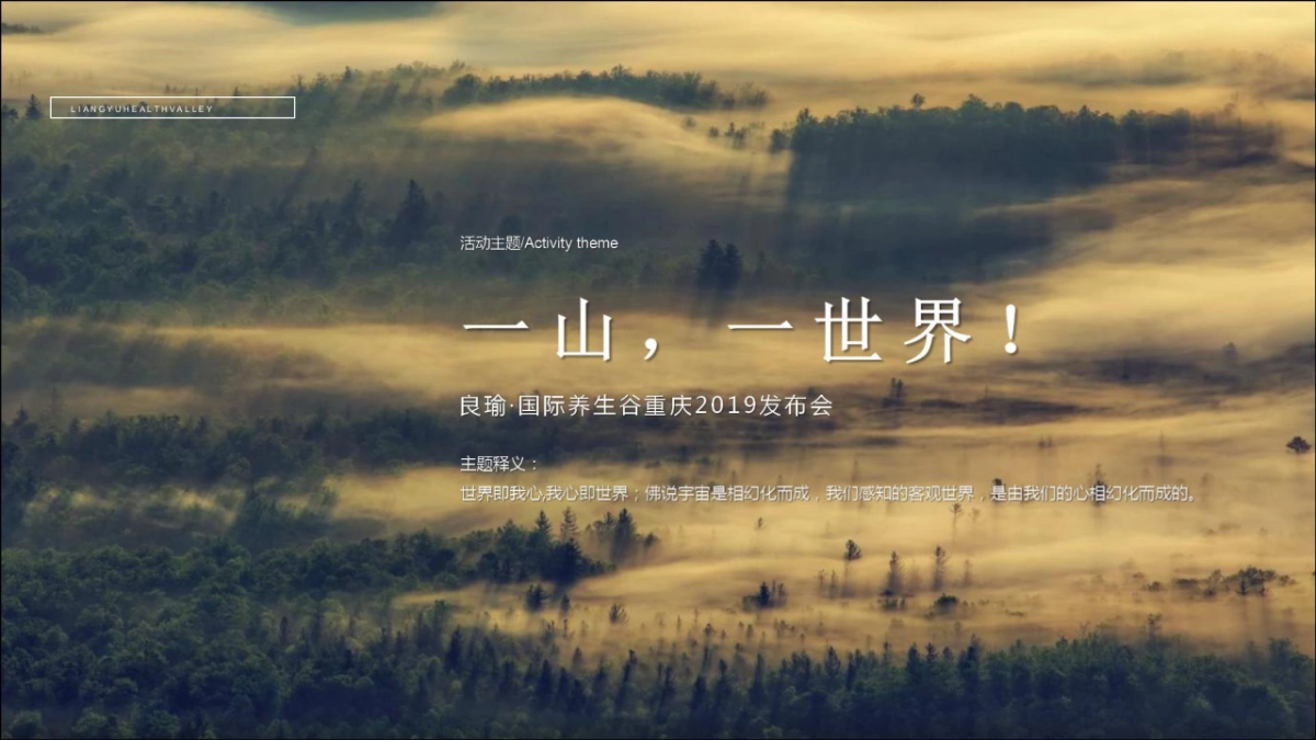 2019良瑜国际养生森系谷发布会策划方案_第2页