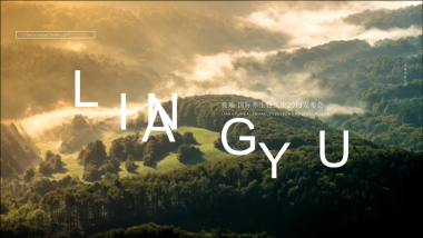 2019良瑜国际养生森系谷发布会策划方案