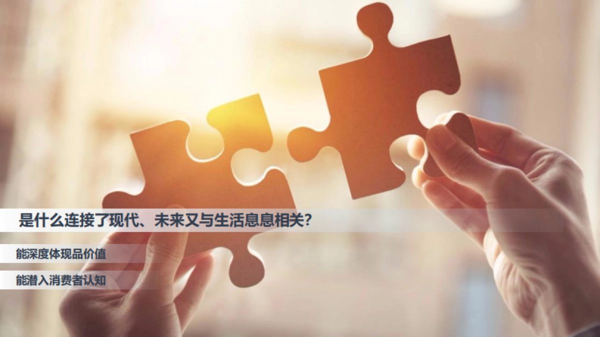 2019年现代汽车集团品牌愿景发布仪式方案_第6页