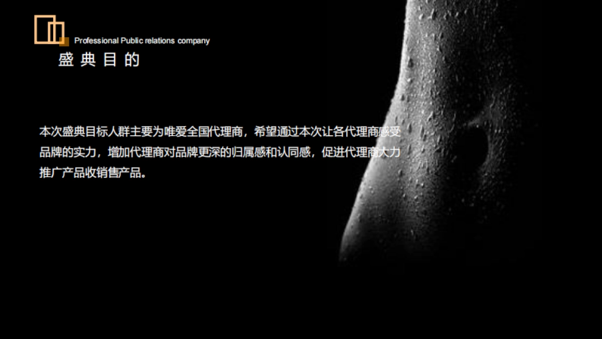 2019唯爱新品发布暨年会盛典_第6页