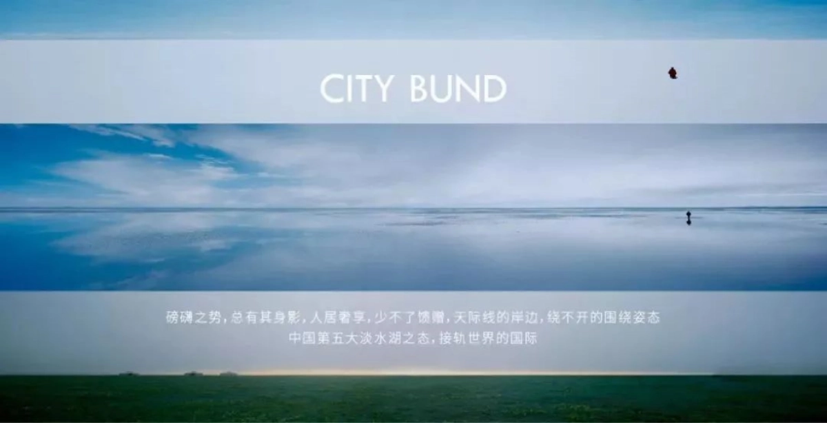 2019新城·滨湖云境新城案名发布_第6页