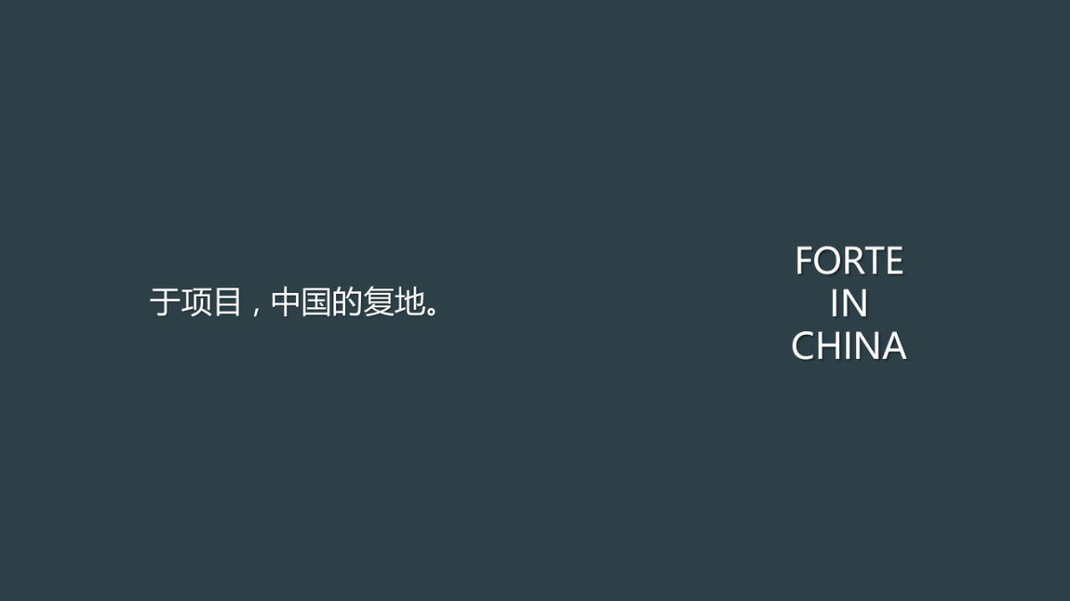 2021地产项目品牌项目发布策略方案-103P_第6页