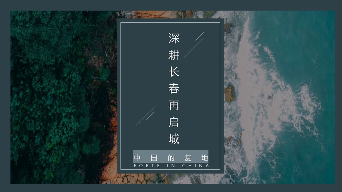2021地产项目品牌项目发布策略方案-103P_第7页