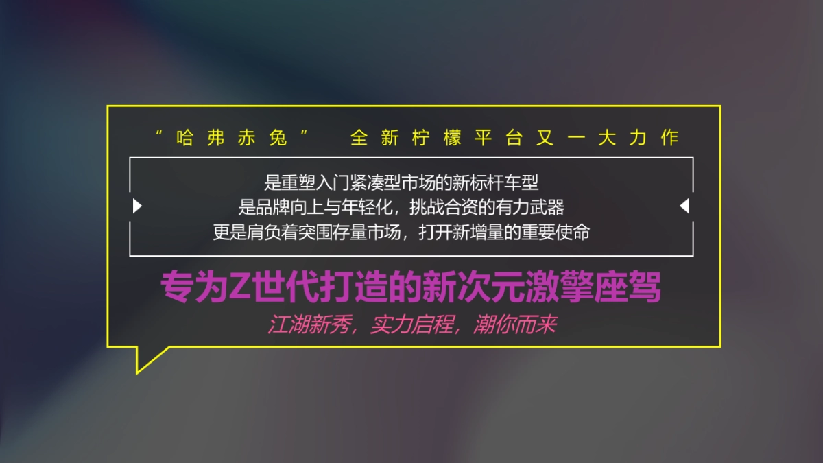 2021哈弗赤兔长沙区域上市发布会暨宠粉激擎之夜活动策划方案-46P_第6页