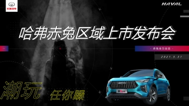 2021哈弗赤兔长沙区域上市发布会暨宠粉激擎之夜活动策划方案-46P