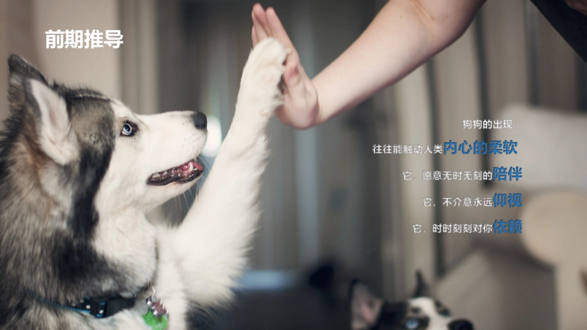 超可信新品上市会_第5页