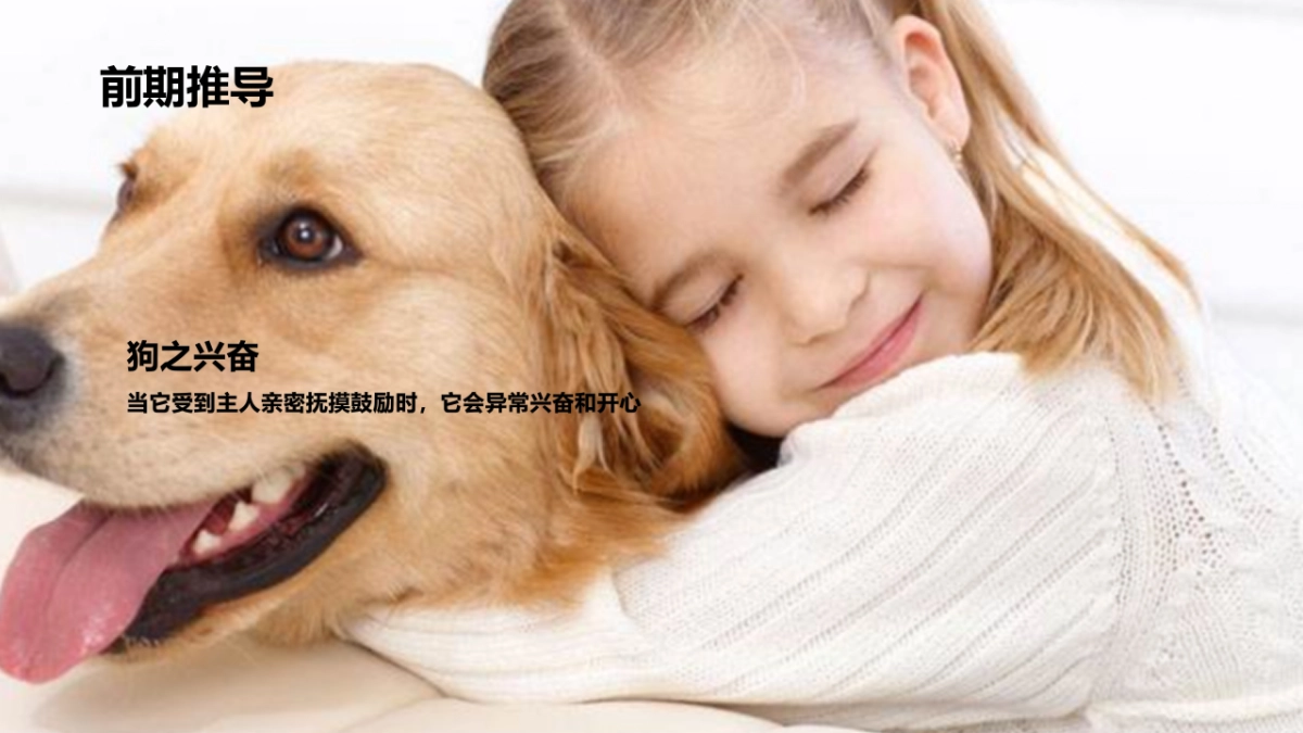 超可信新品上市会_第8页