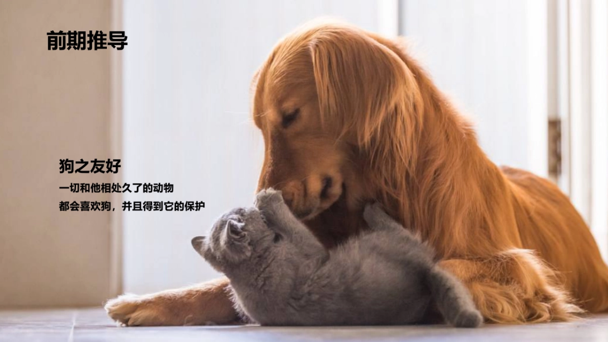 超可信新品上市会_第9页