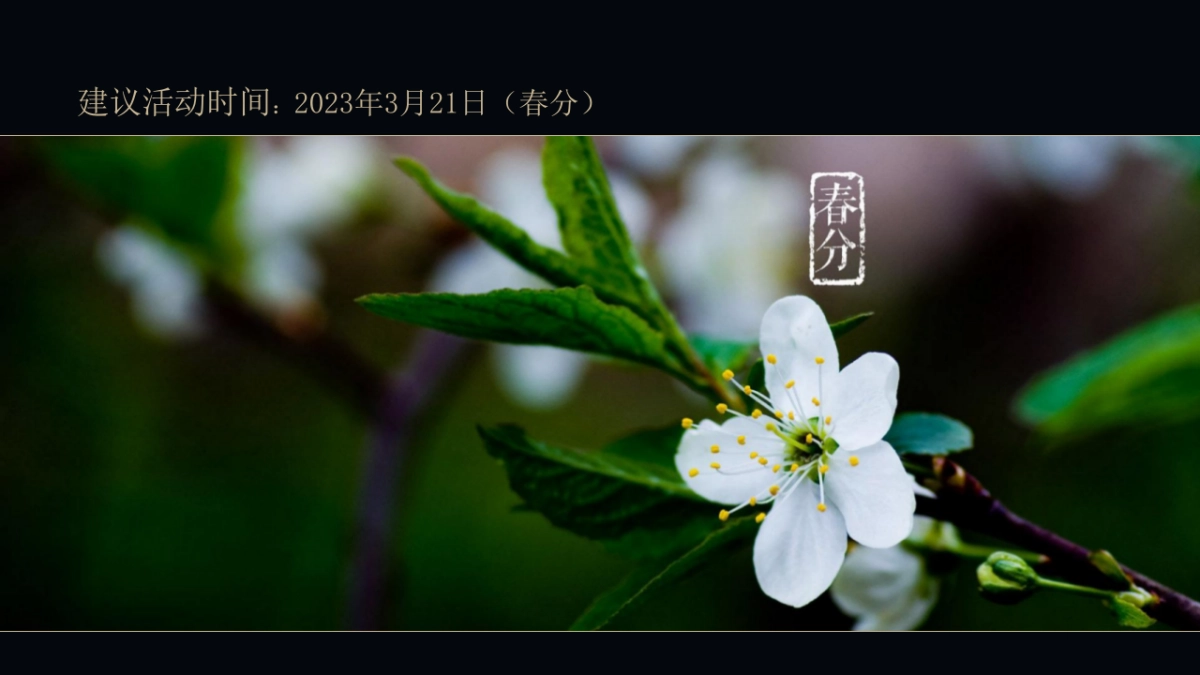 2023全球奢侈品大秀暨空港会展中心发布盛典（让世界重新认识主题）活动策划方案_第9页