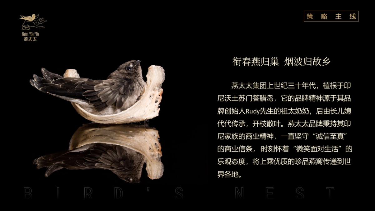 2023燕窝品牌发布会“燕归巢 · 美如初”主题活动策划方案_第4页