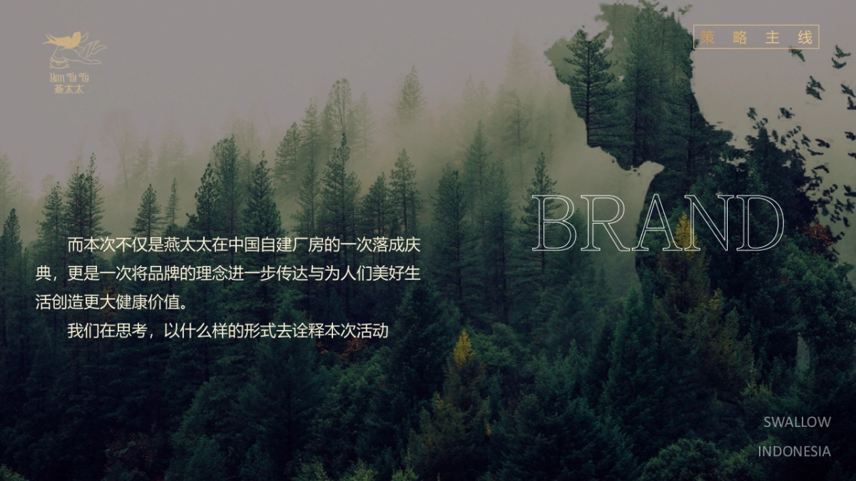 2023燕窝品牌发布会“燕归巢 · 美如初”主题活动策划方案_第5页