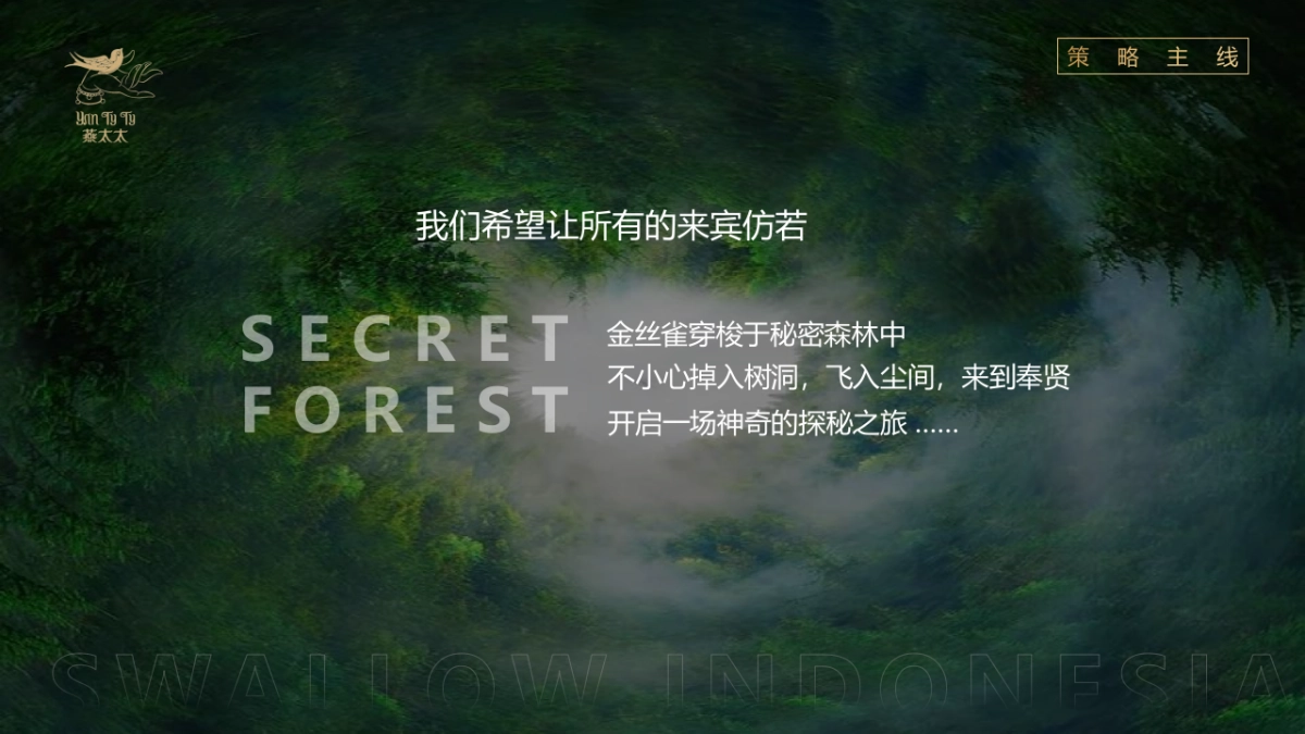 2023燕窝品牌发布会“燕归巢 · 美如初”主题活动策划方案_第7页