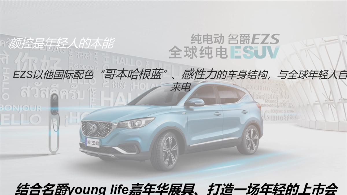 EZS贵州花果园商超上市方案0430_file_第8页