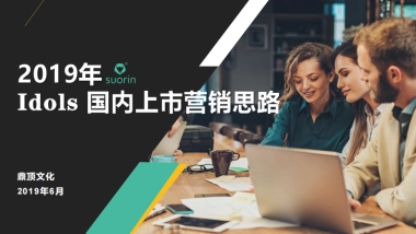 idols电子烟国内上市营销.pptx.