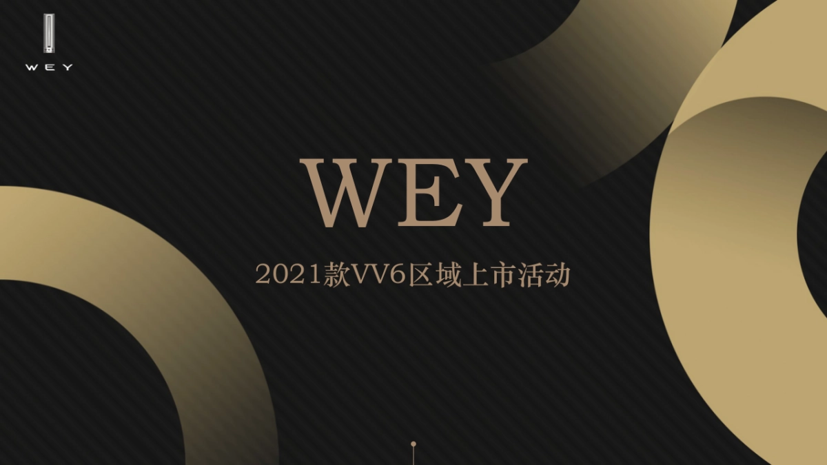 WEY区域上市活动方案_第1页