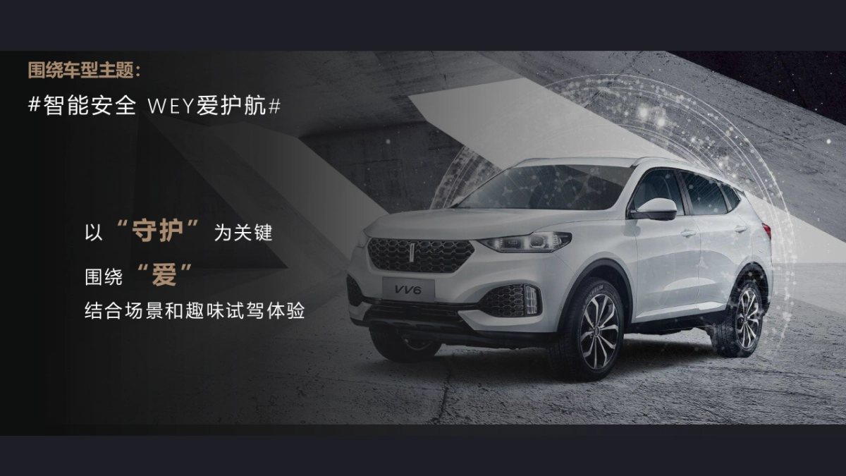 WEY区域上市活动方案_第9页