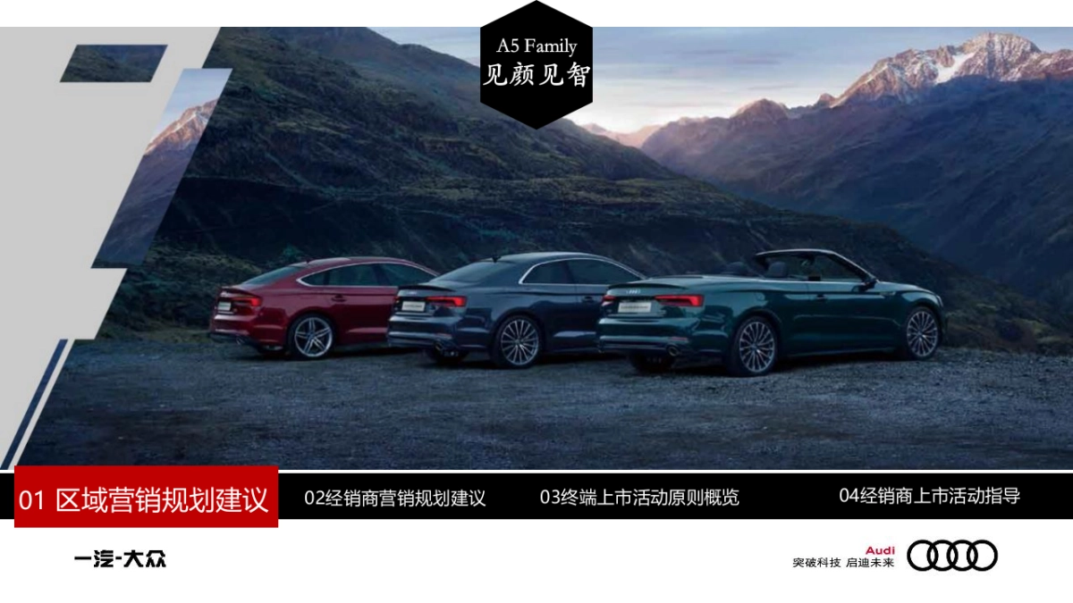 奥迪全新A5 Family上市终端营销活动方案_第2页
