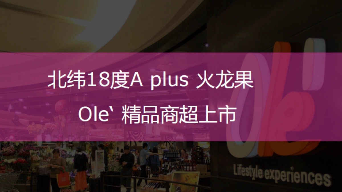 北纬18度A+ 火龙果上市方案_第1页