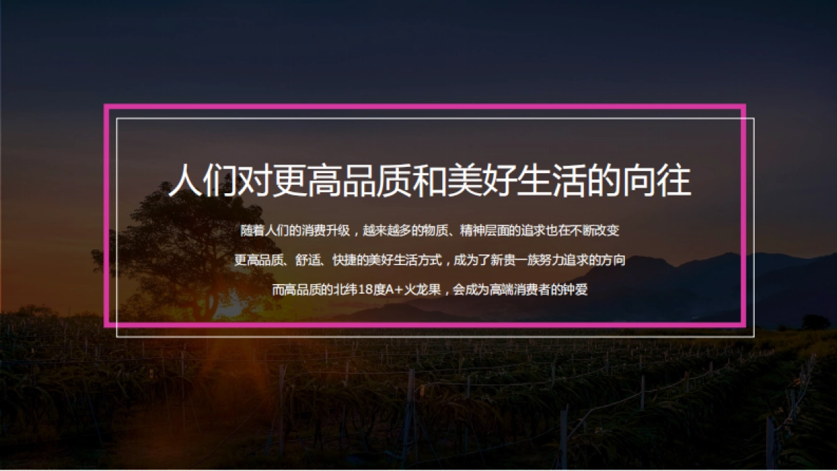 北纬18度A+ 火龙果上市方案_第9页