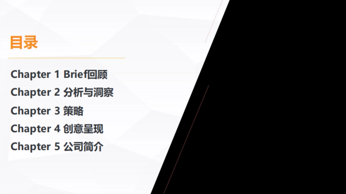 健力宝自拍瓶上市传播方案_第2页