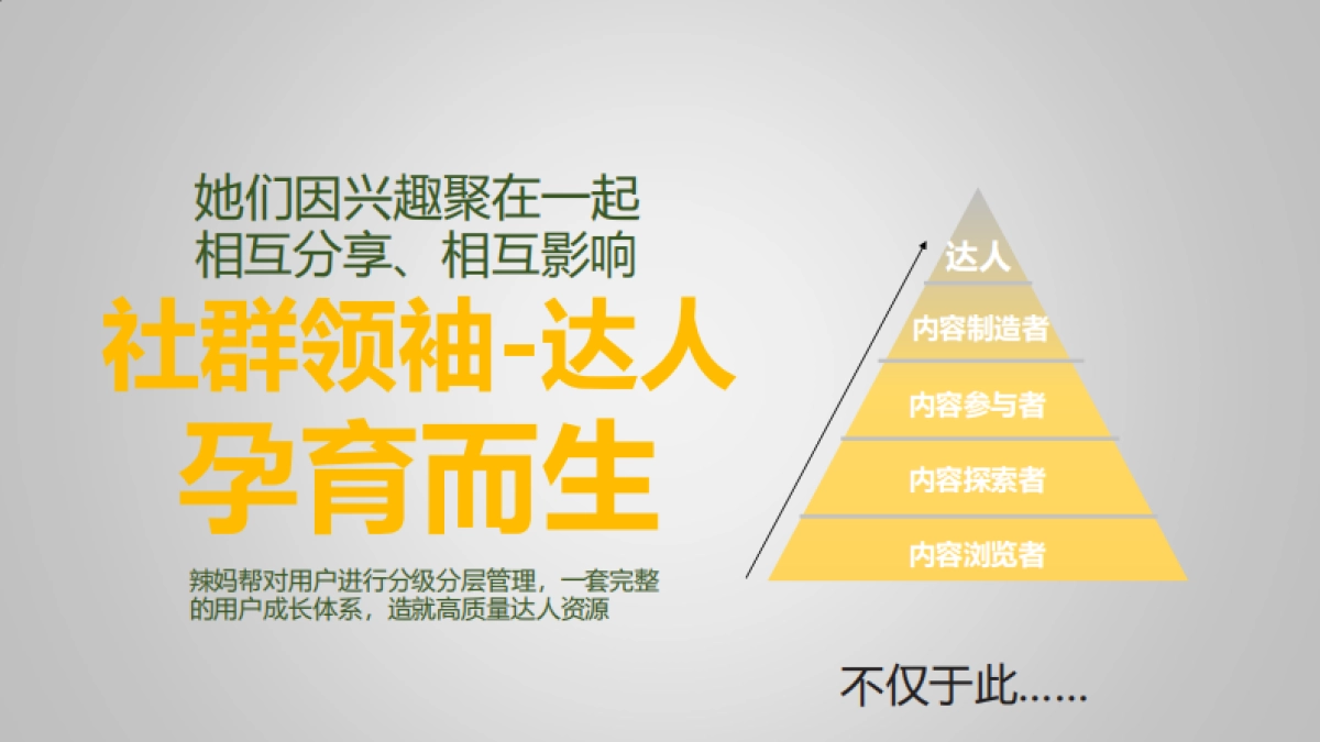 德尔玛毛球修剪器新品上市_第7页