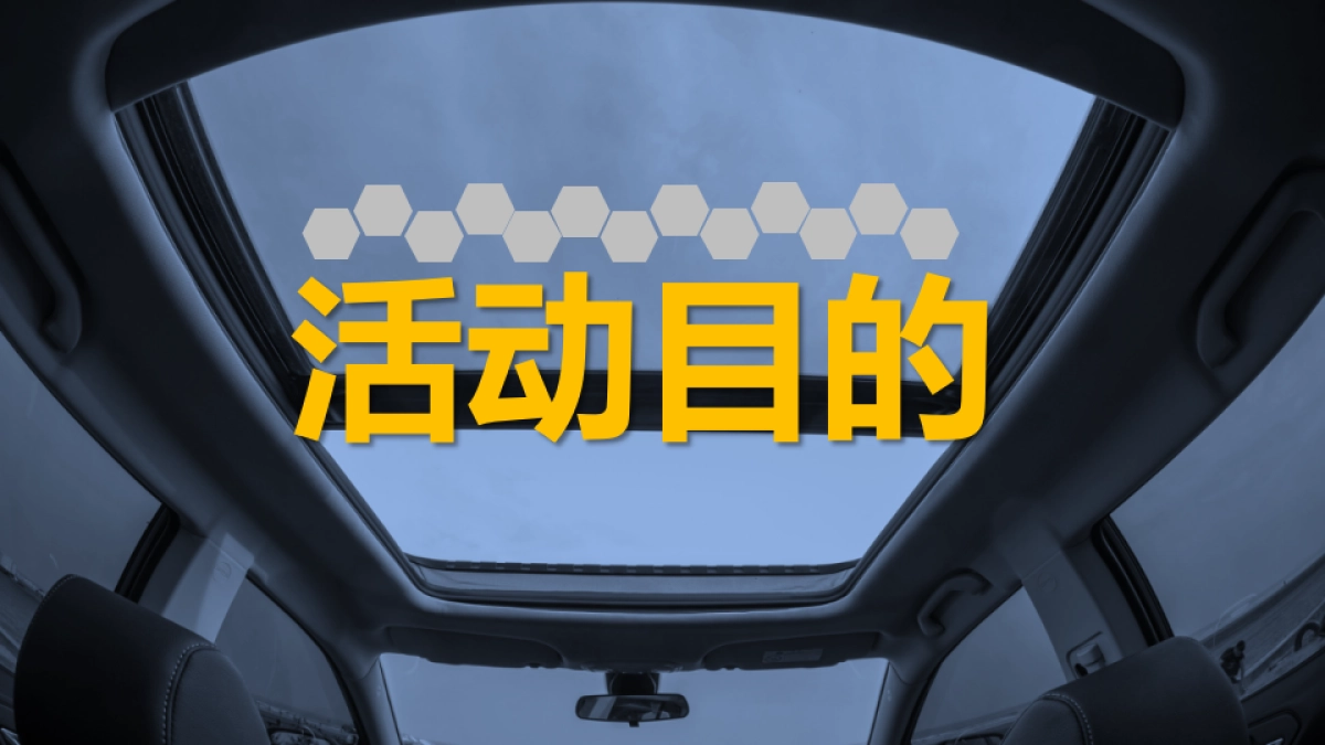 东南汽车终端上市活动策划案_第6页