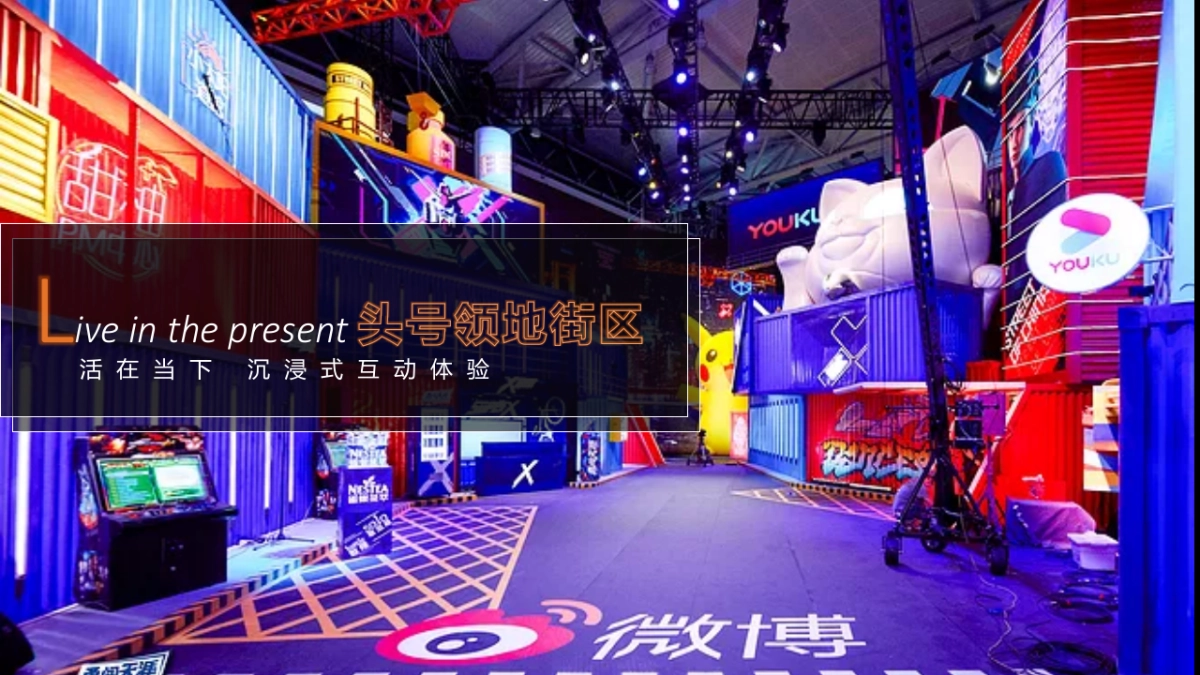 高端汽车品牌发布会策划方案_第5页