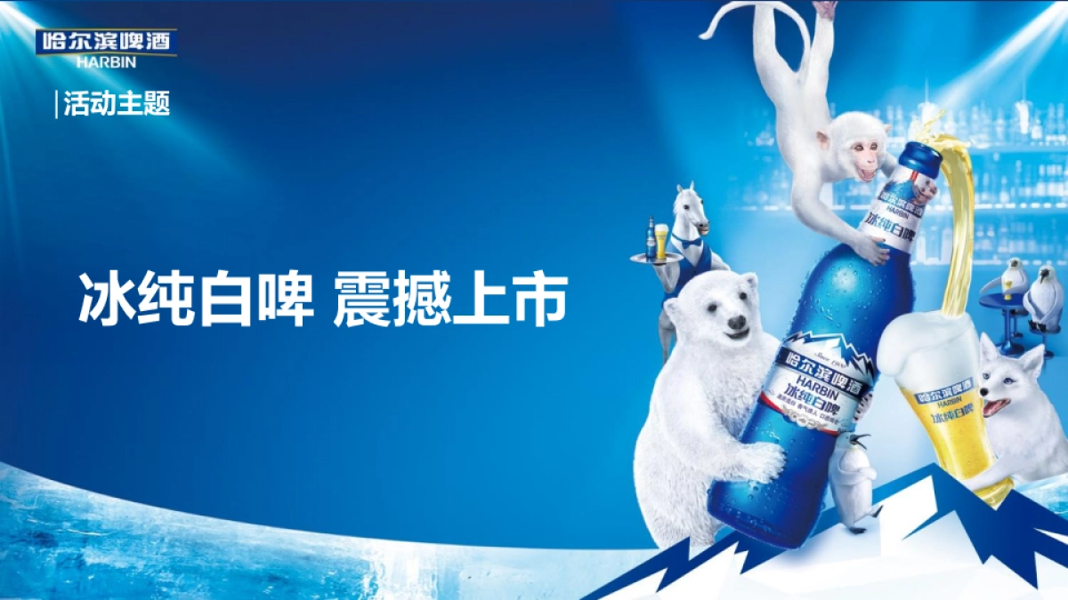 哈尔滨白啤路演方案_第6页