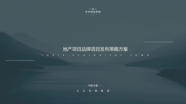 后疫情时代地产项目品牌项目发布策略方案