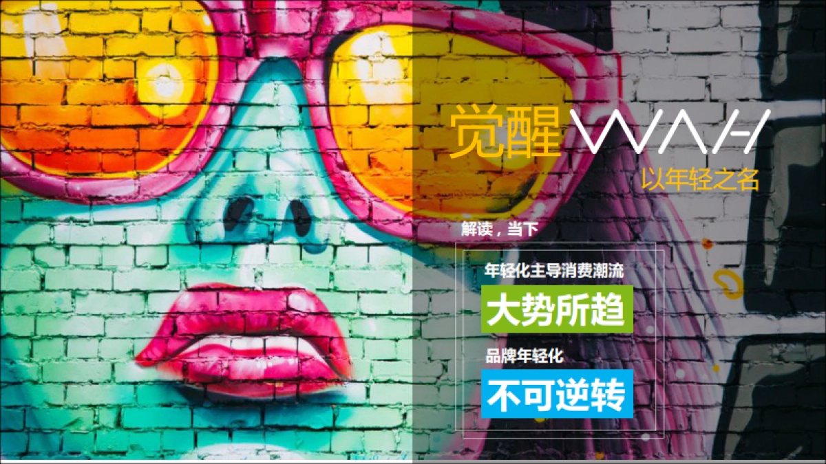 华凌品牌发布会方案最新版_第6页