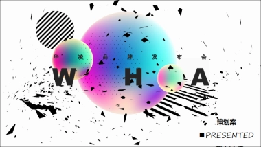 华凌品牌发布会方案最新版