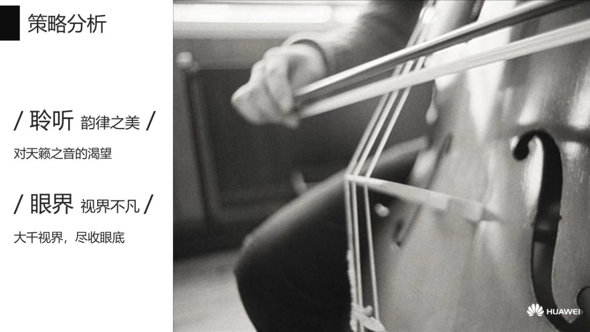 华为M路演方案_第5页