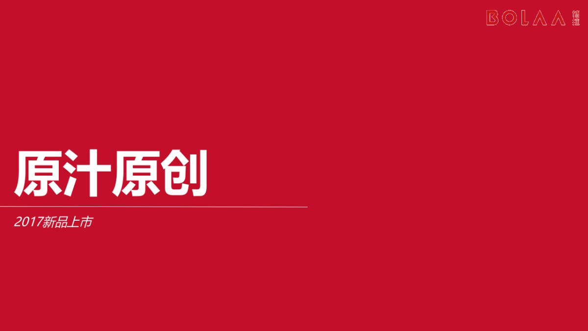 汇源新品上市方案_第2页