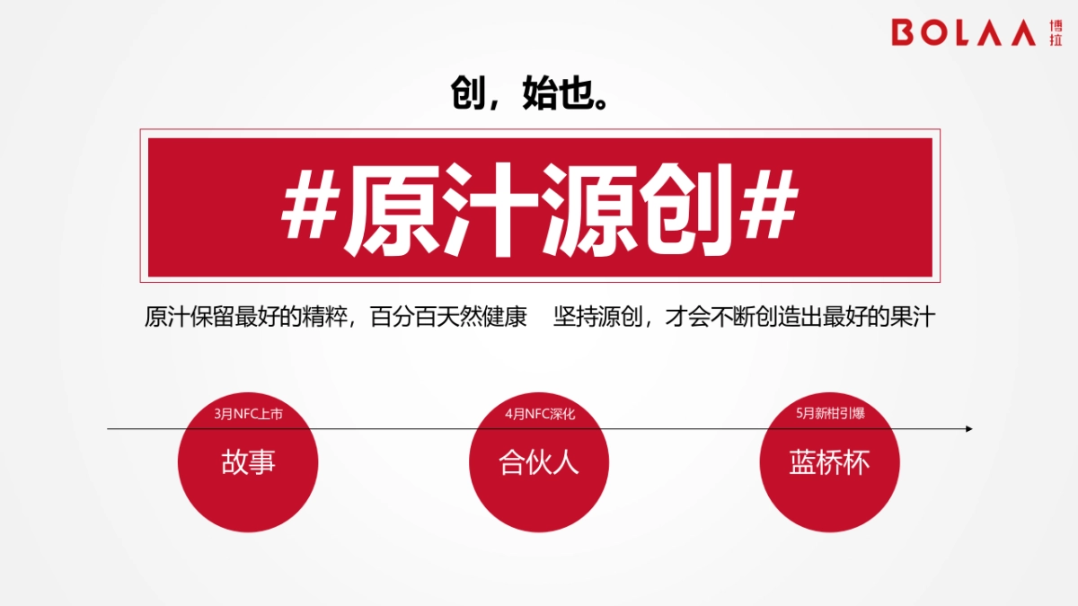 汇源新品上市方案_第4页