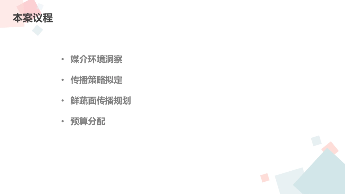 康师傅鲜蔬面上市媒介传播计划_第5页