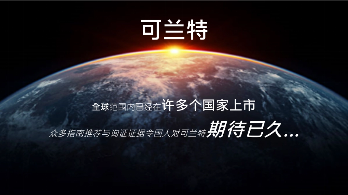 可兰特中国上市会方案_第10页