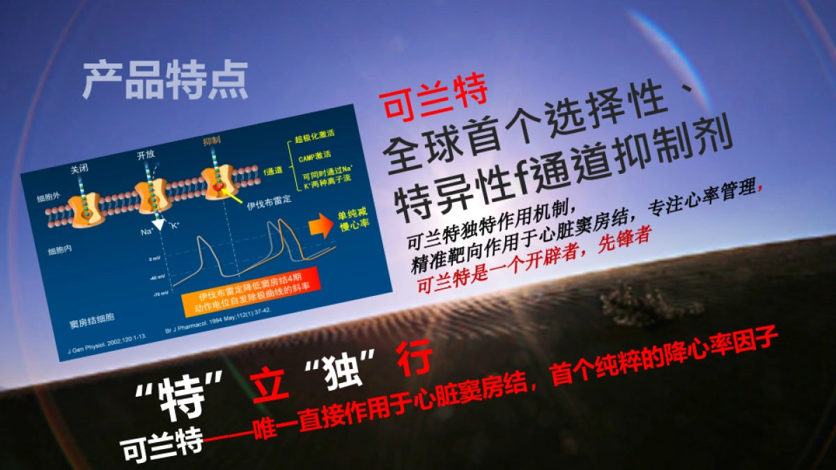 可兰特中国上市会方案_第6页