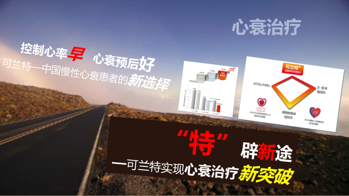 可兰特中国上市会方案_第8页