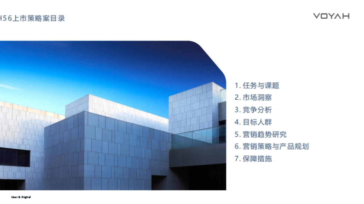 岚图汽梦想家H56上市营销策略_第2页