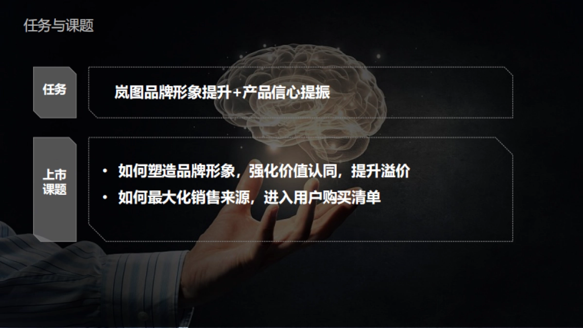岚图汽梦想家H56上市营销策略_第4页