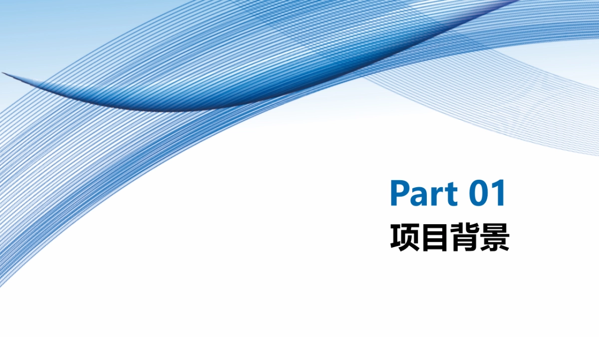 琅钰替洛利生新药上市传播策划案_第2页
