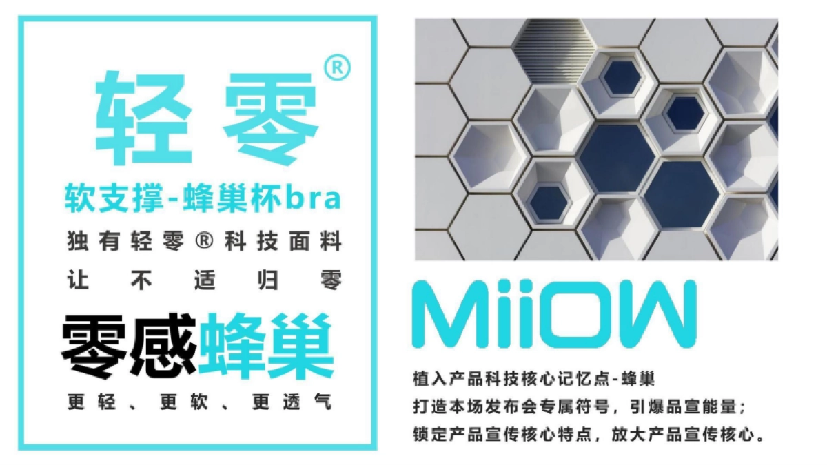 猫人战略发布会活动策划方案_第10页