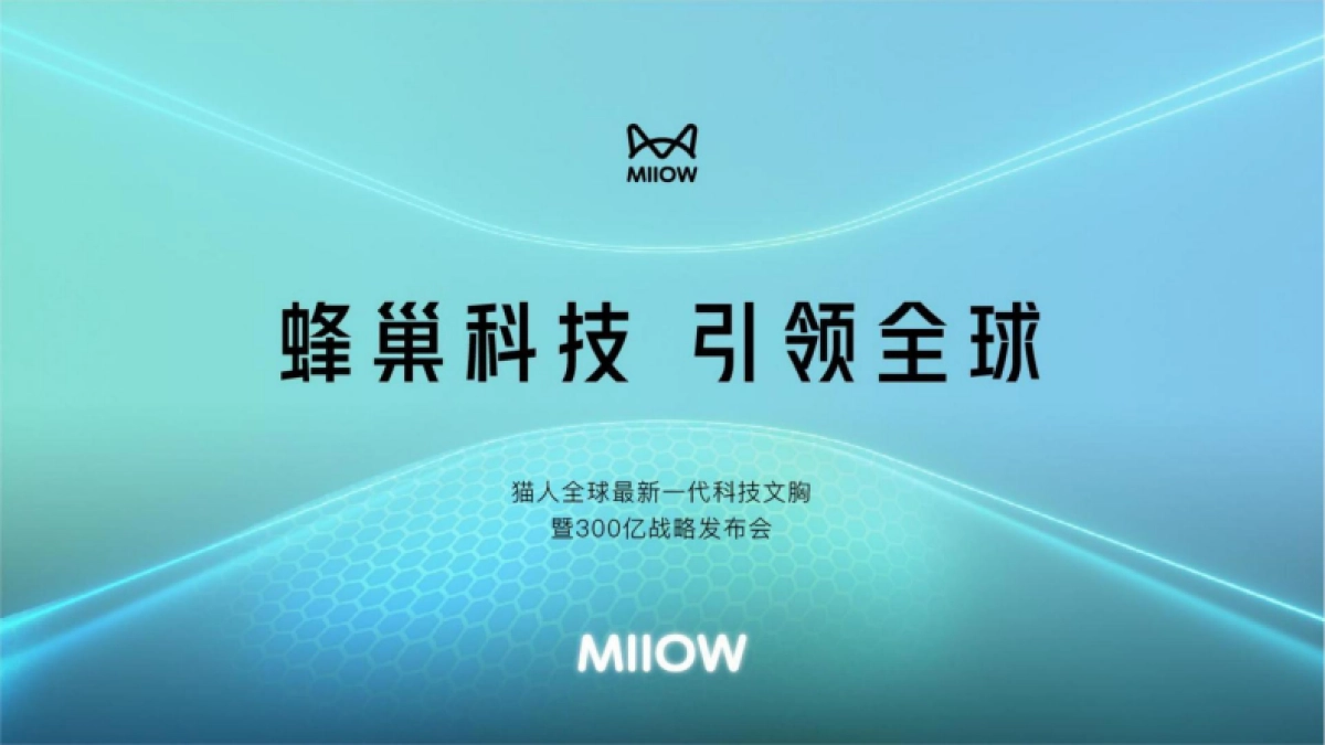 猫人战略发布会活动策划方案_第5页